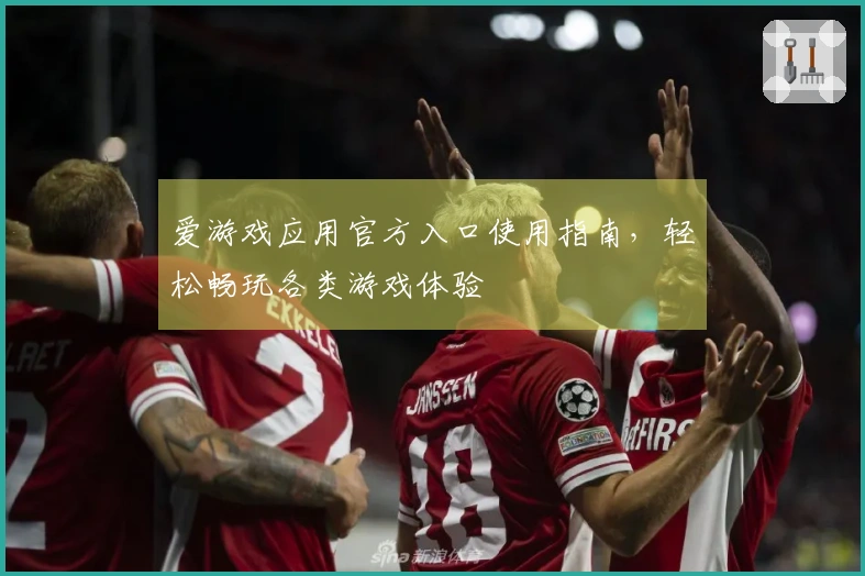 爱游戏应用官方入口使用指南，轻松畅玩各类游戏体验