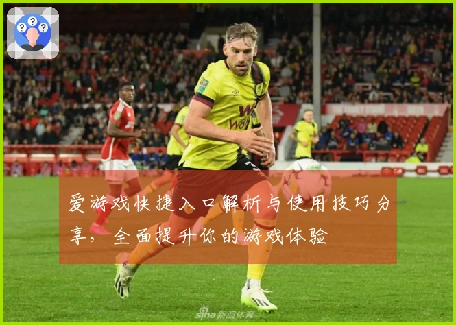 爱游戏快捷入口解析与使用技巧分享，全面提升你的游戏体验